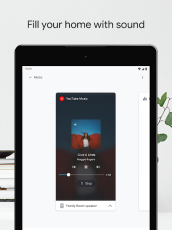Google Home screen 10