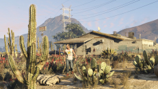 Grand Theft Auto V screen 74