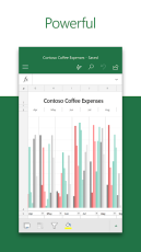 Microsoft Excel screen 1