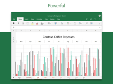 Microsoft Excel screen 11