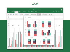 Microsoft Excel screen 13