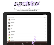 Pandora Radio screen 12