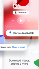 Chrome Browser - Google