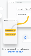 Chrome Browser - Google