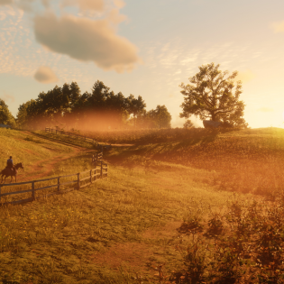 RED DEAD REDEMPTION 2 screen 5